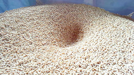 健康米味楽農場の特別栽培米あきたこまち