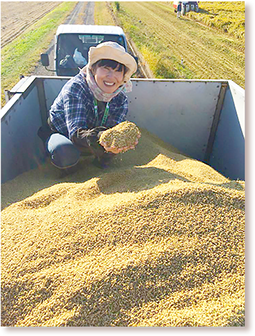 株式会社健康米味楽農場代表取締役藤村ゆき