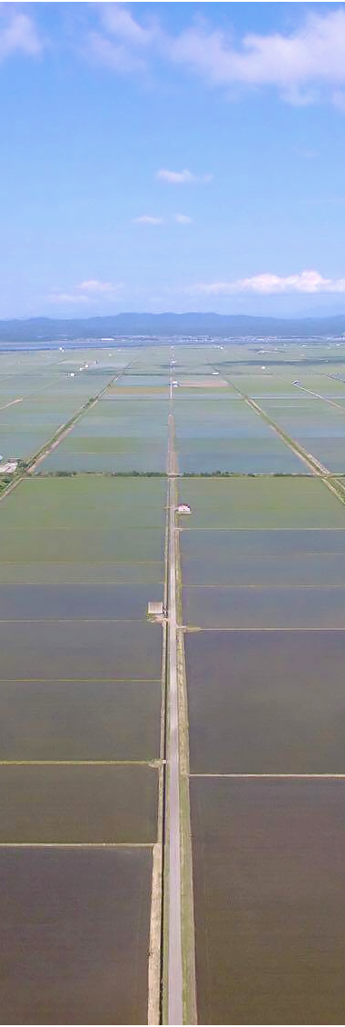 秋田県大潟村の田園風景空撮