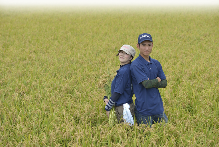 株式会社健康米味楽農場の田園風景